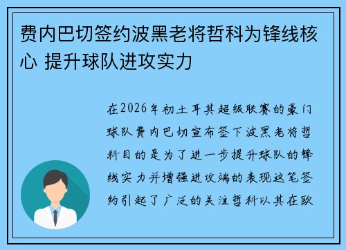 费内巴切签约波黑老将哲科为锋线核心 提升球队进攻实力